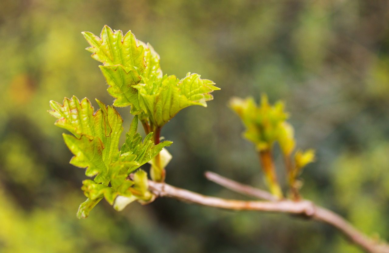 De beste decoratietips voor in de tuin